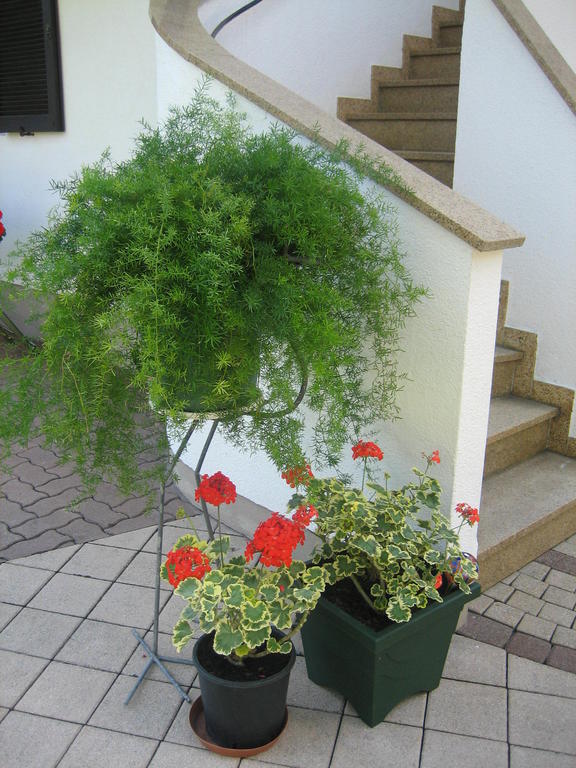 Appartement Weissbacher Lofer Exteriér fotografie